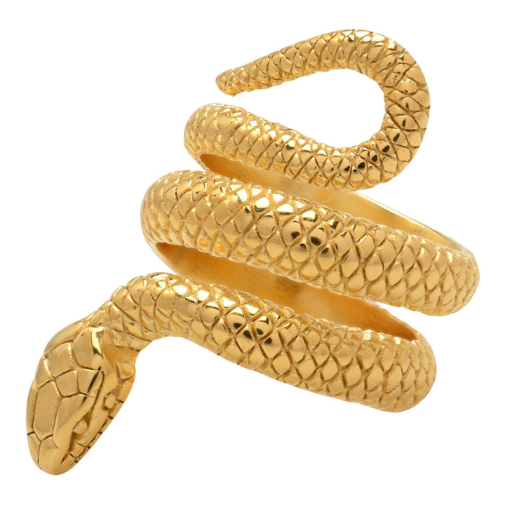 Snake Ring - Anatomy Accessories